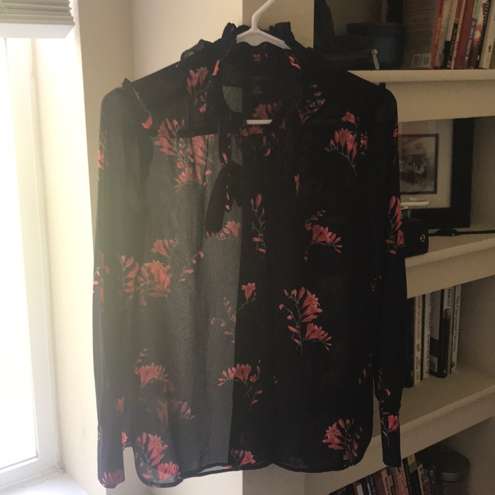 Ann Taylor Petites Sheer Blouse